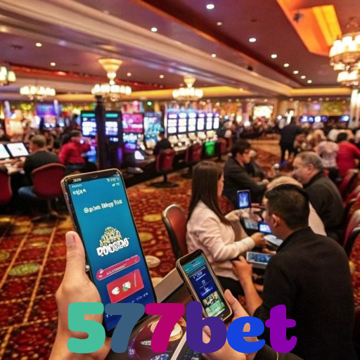  577bet