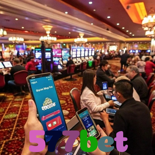  577bet