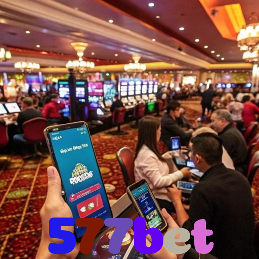  577bet
