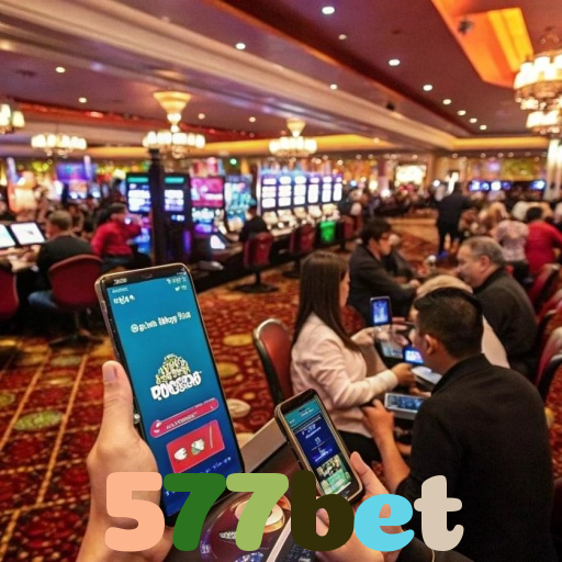  577bet
