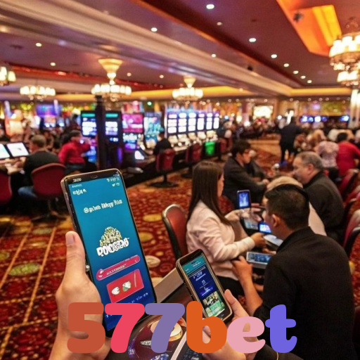  577bet