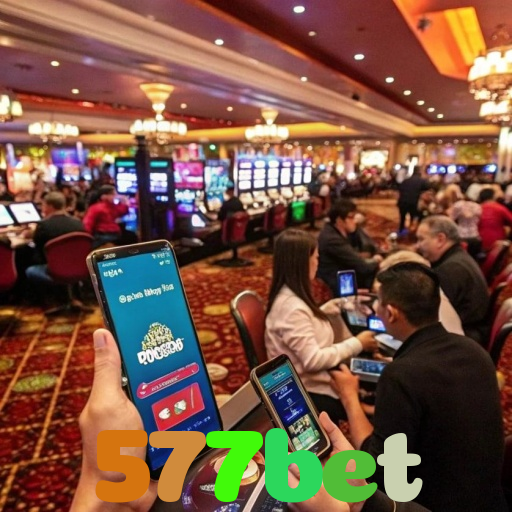  577bet