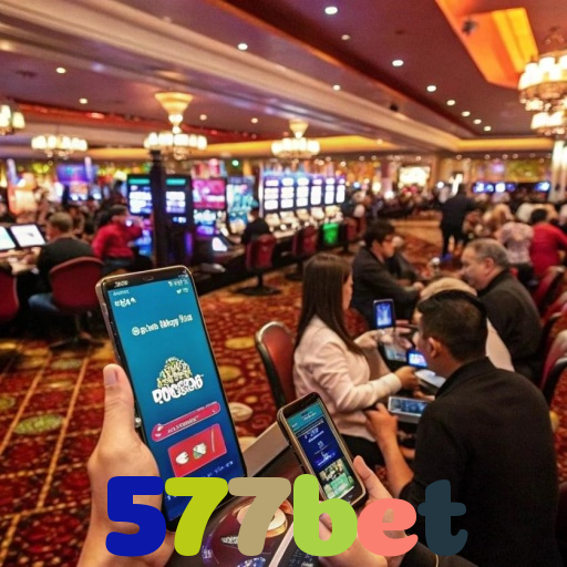  577bet